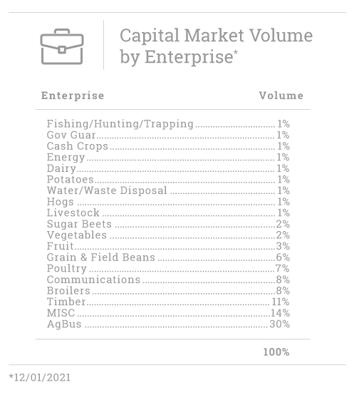 Capital Markets Volume by Enterprise 2021