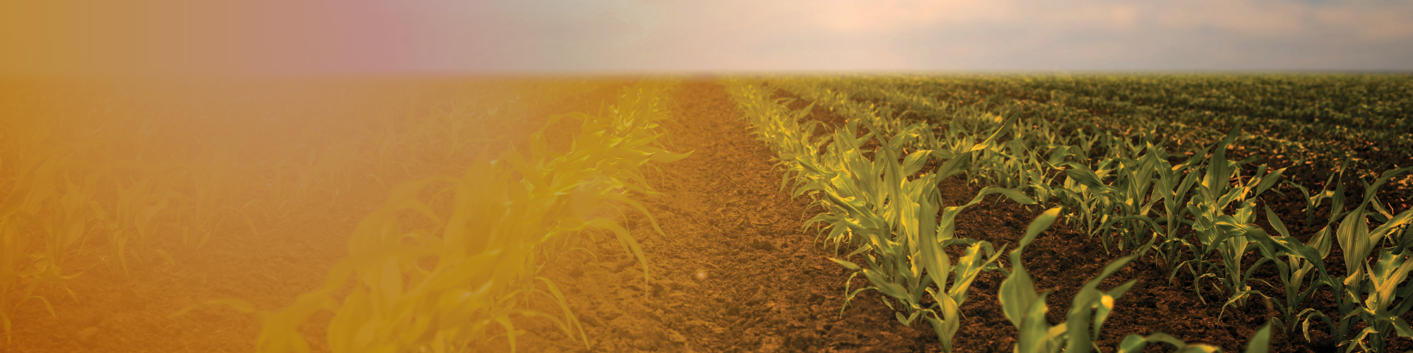 farm financing greenstone fcs greenstone fcs