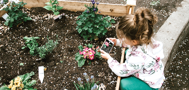 Gardening