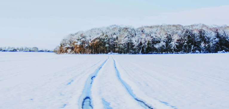 snowy lane