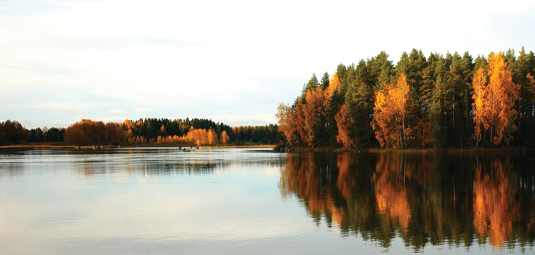 Trees and water