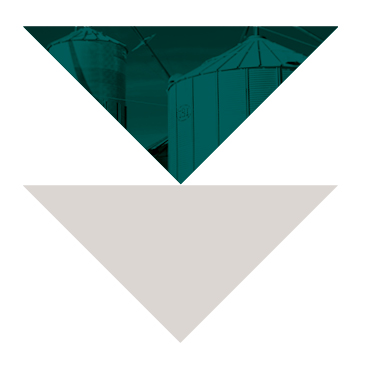 Green and While Arrow