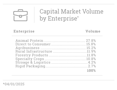 Capital Markets Volume by Enterprise 2025