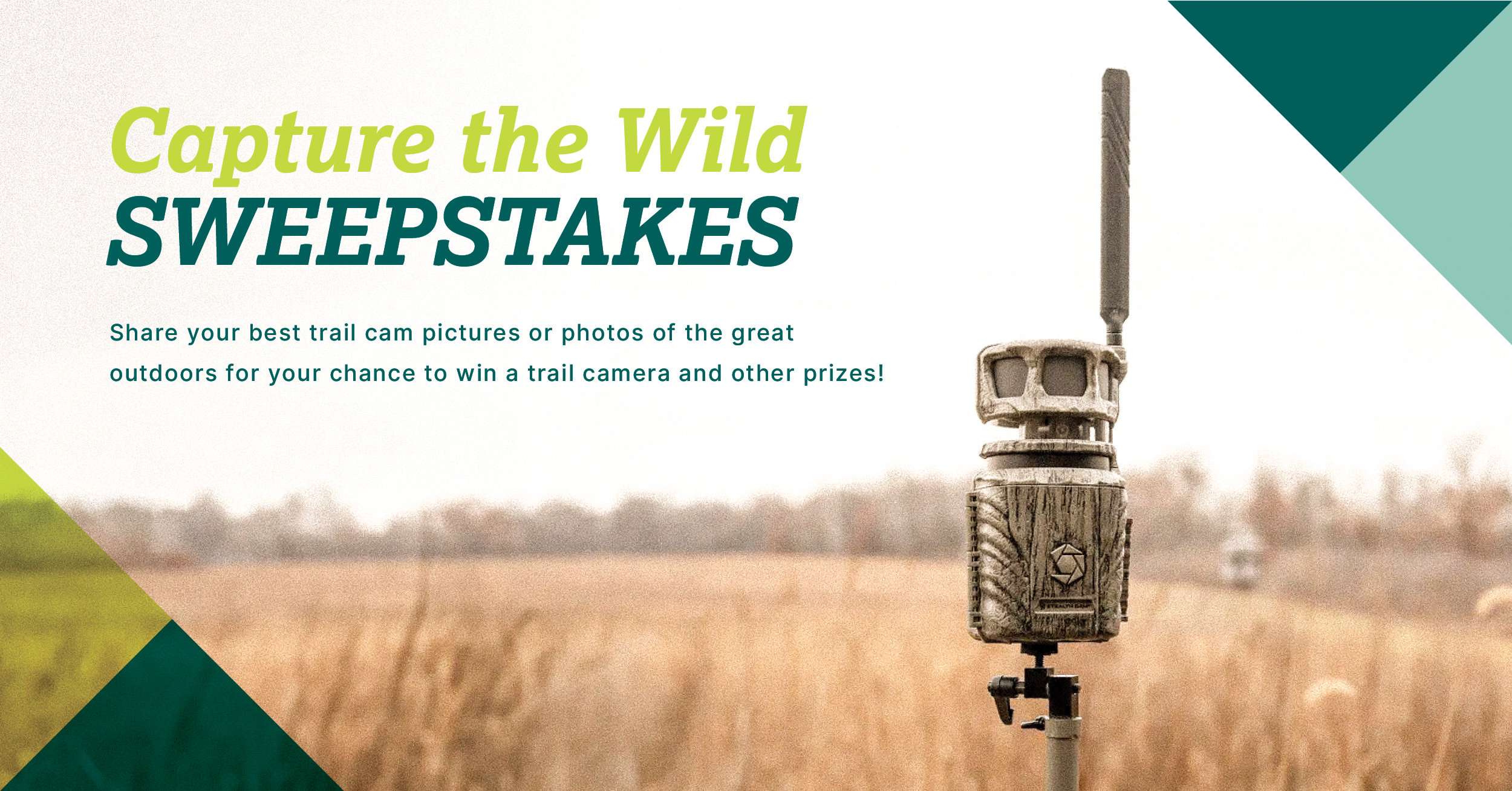 2025 Capture the Wild Sweepstakes