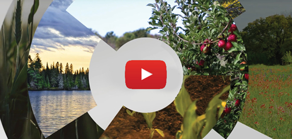 GreenStone Video on YouTube