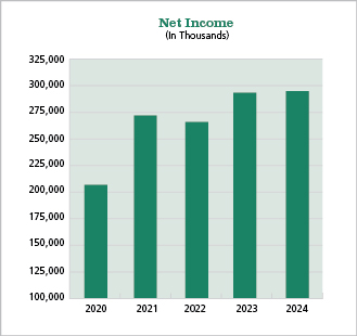 Net Income for 2020