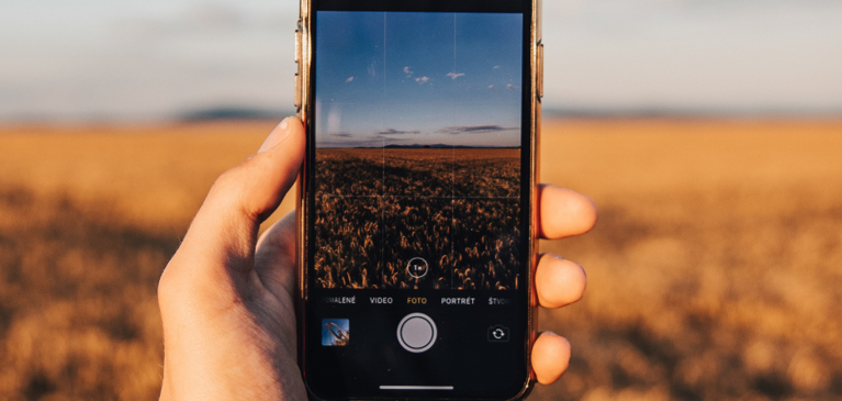 Phone in field