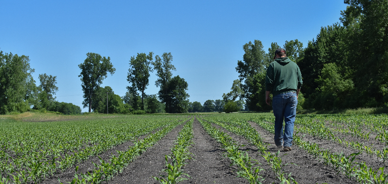 Tucker Mays in field 