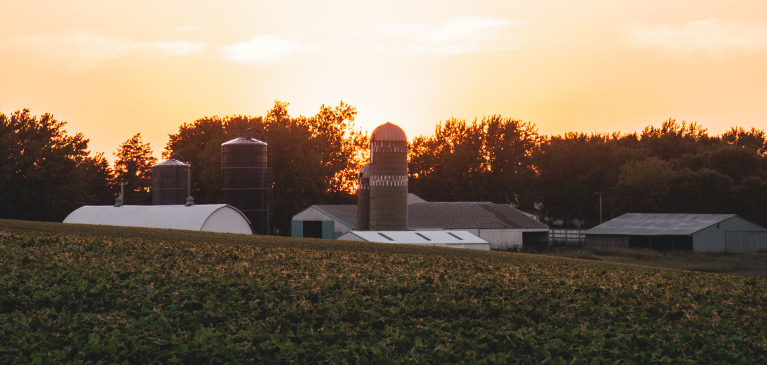 farm, farmland, agriculture, barn