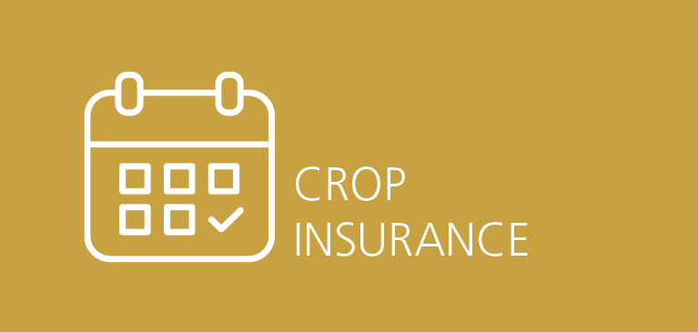 Crop Insurance calendar