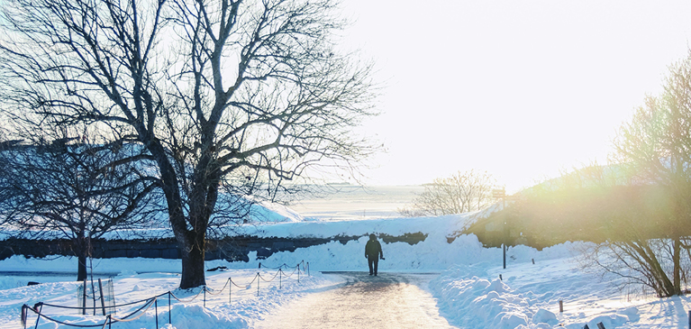 Tree in the winter with someone walking