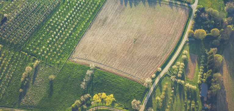 Aerial Plots of Fields
