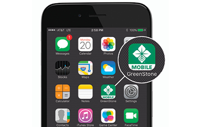 Digital Toolbox Zoomed Phone