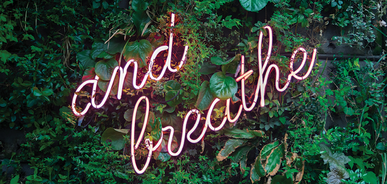Red neon cursive sign displaying the words “and breath” laying in a wall of greenery and leaves. 