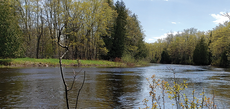 Stunning picture of the Manistique River in Michigan’s Upper Peninsula with tall pine trees and green trees reflecting the water.