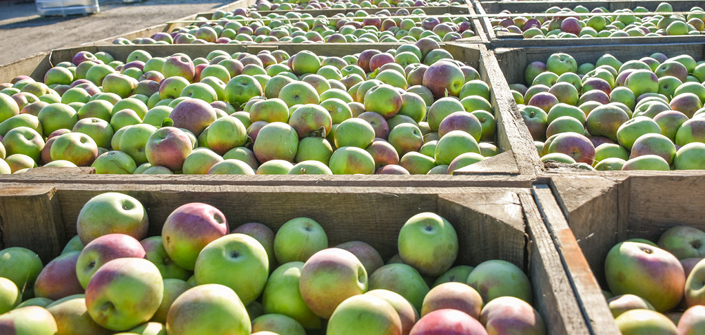 Crop Insurance News Apple Reminders