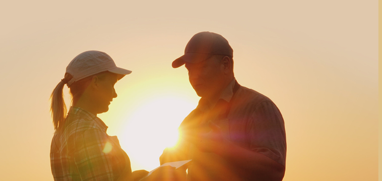GreenStone farmers at sunset