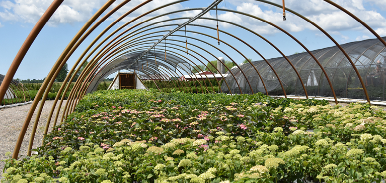 GreenStone hoop house