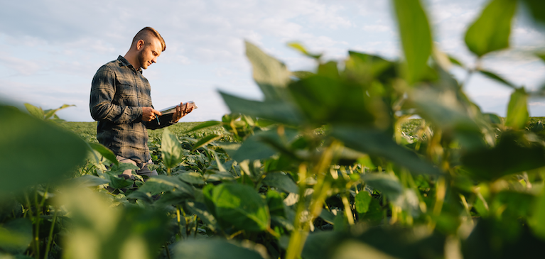 GreenStone CultivateGrowth Mentorship