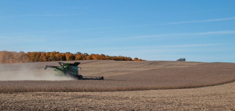 Combine in field