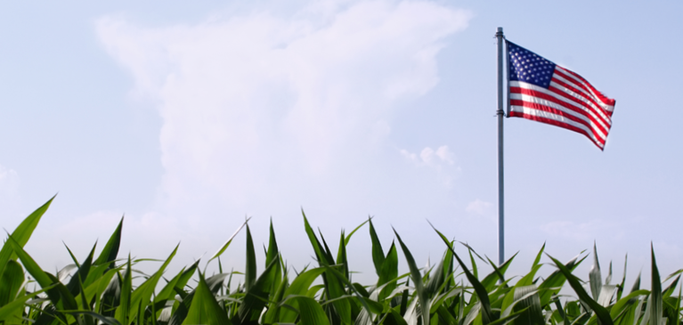 American flag over corn