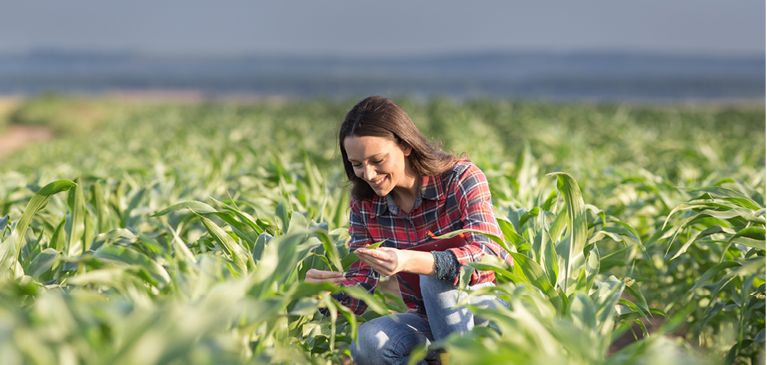 GreenStone Cultivate Growth Program