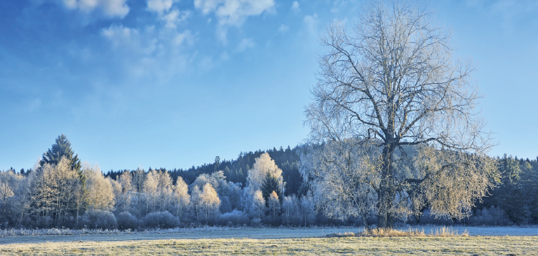 GreenStone CEO Comments