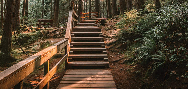 GreenStone Forest Path