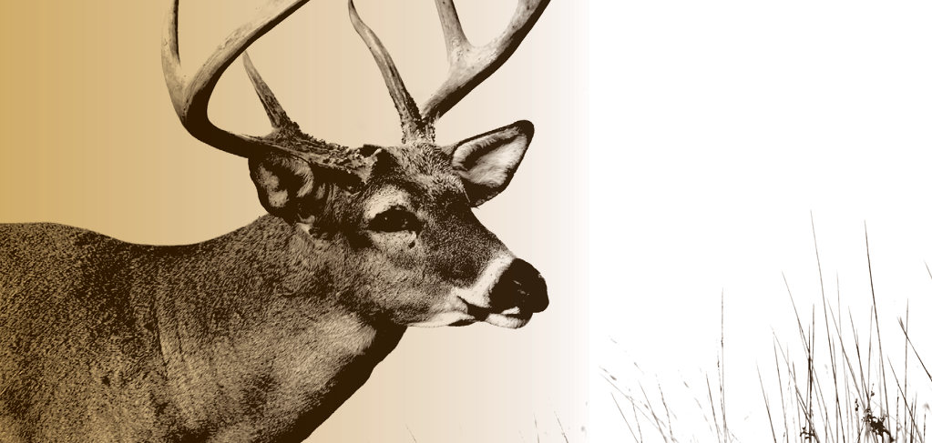 Win Dollars With Your Deer In Wisconsin And MI U.P.