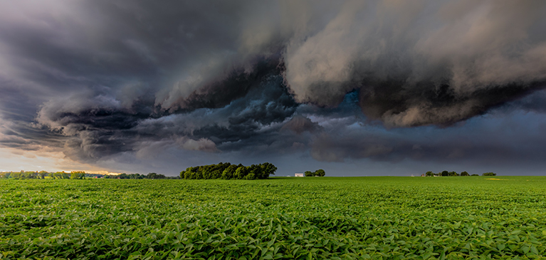 Storm rolling over soybean field