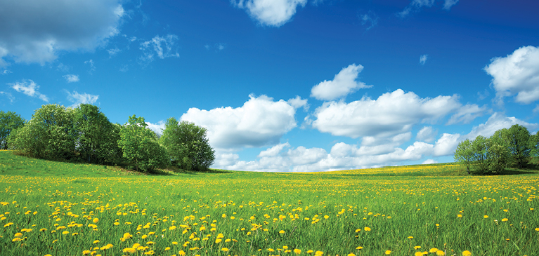 clouds covering bright blue sky over green meadow with yellow wildflowers and trees along the hillside.