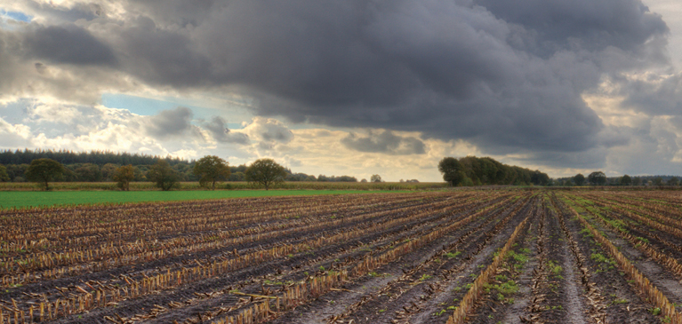 Stormy clouds rolling over unplanted fields.