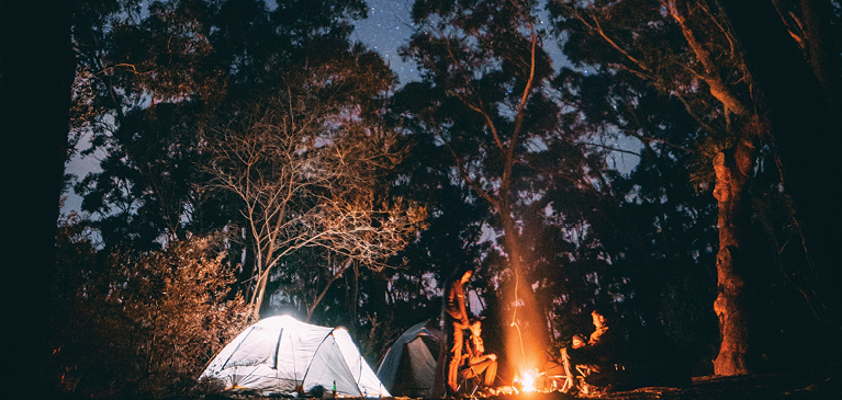 Camping tent with a fire in a wooded forest