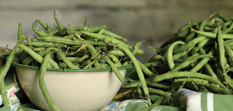 Bowl of green beans 