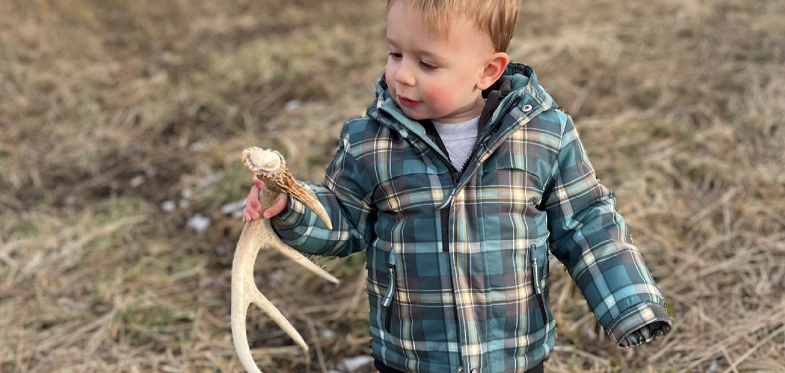 Child holding a deer antler