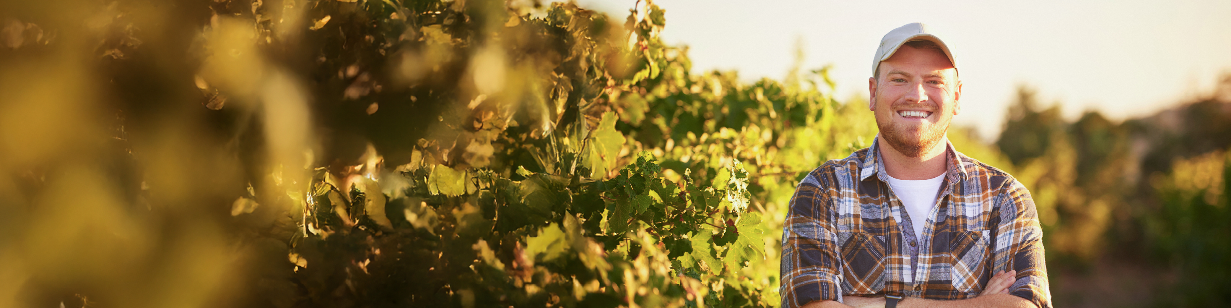 Farmer in a field smiling