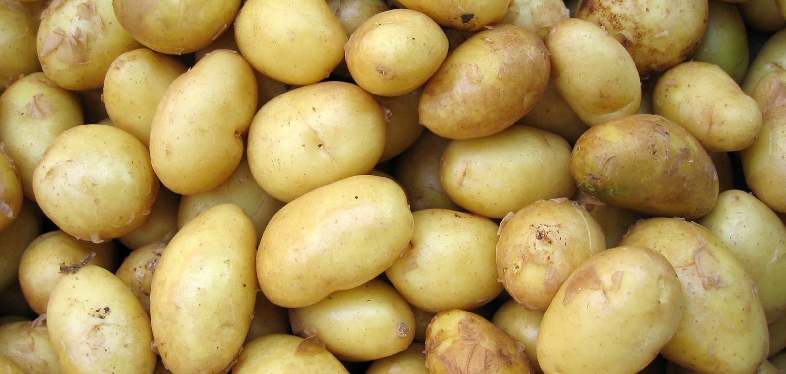 Potatoes