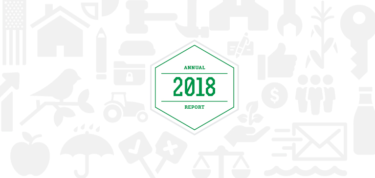 Graphic image from Annual Report