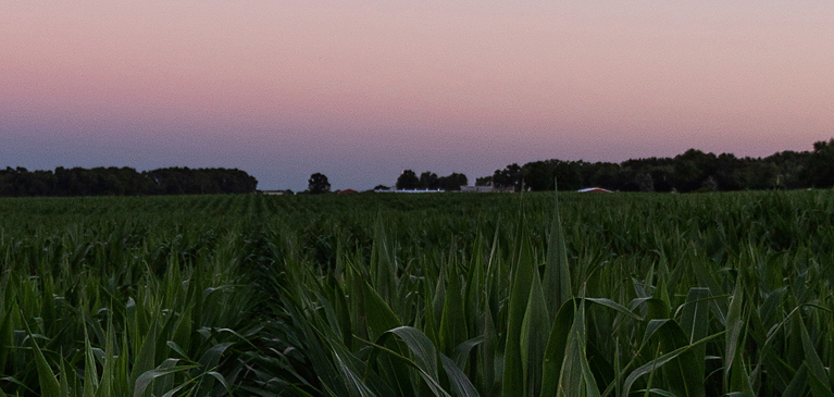 Sun setting at dusk on farm with crops and woods