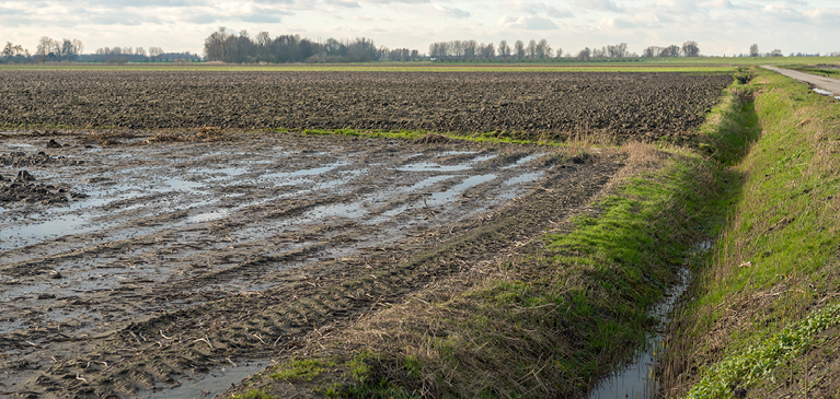wet farm field