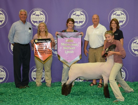 Champion Sheep at Michigan Livestock Expo