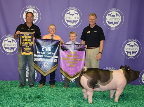 Champion Hog at Michigan Livestock Expo