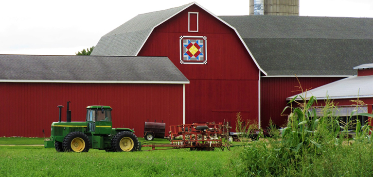 Co-founder of the Gratiot County Barn Quilt Trail's barn farm and quilt on barn