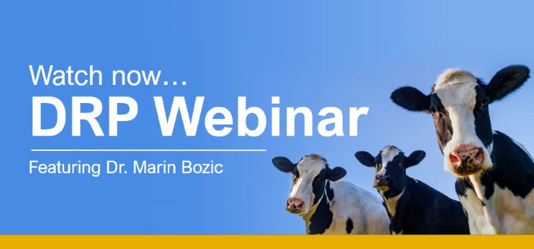 GreenStone DRP Analyzer webinar