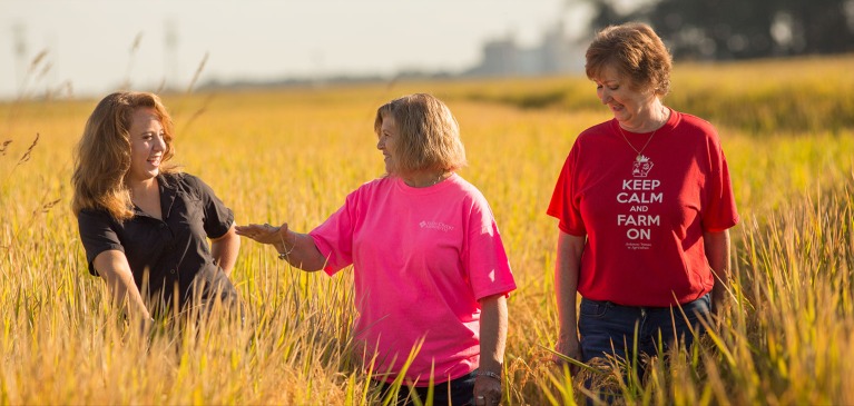 Women in wheat field