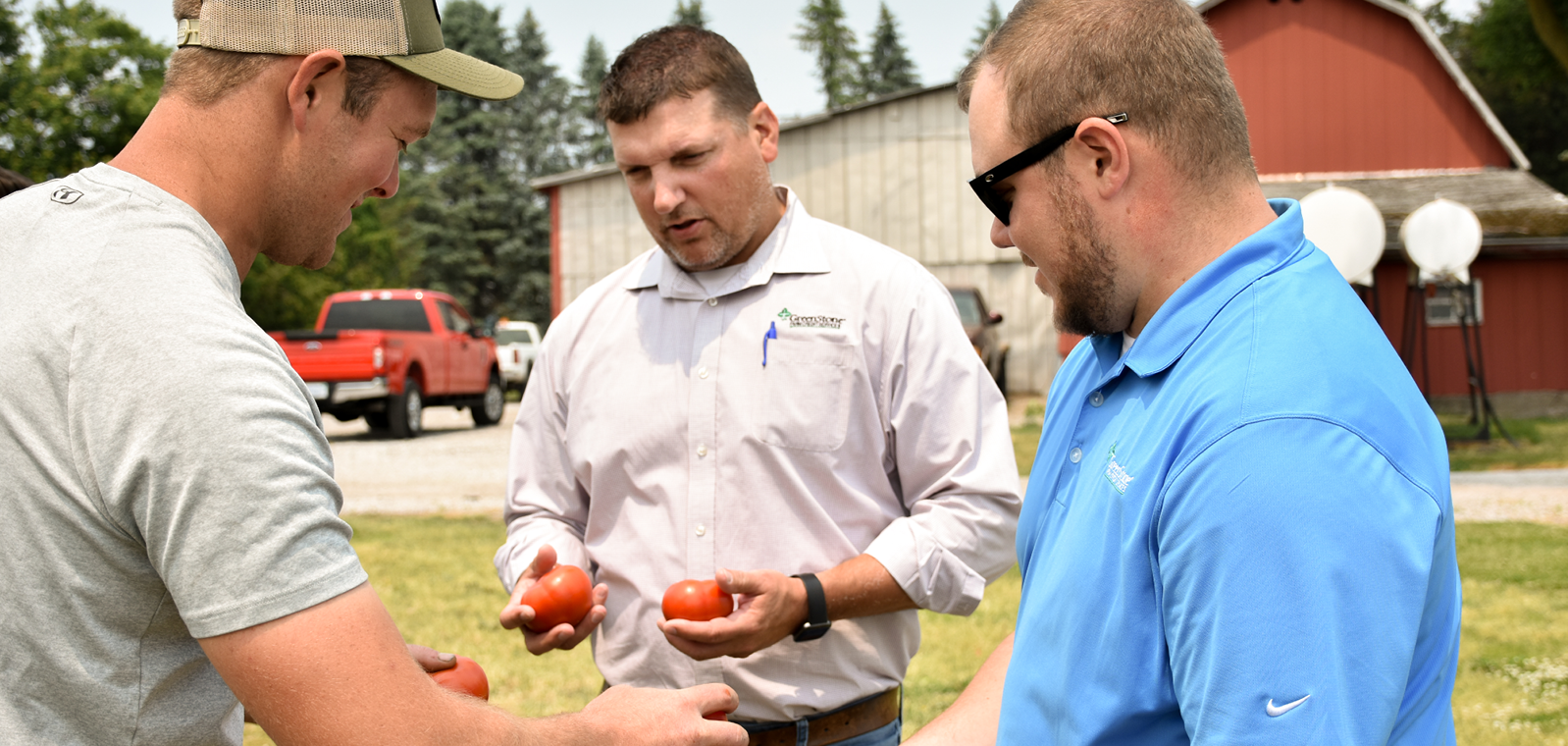 GreenStone employees holding tomatoes with farmers