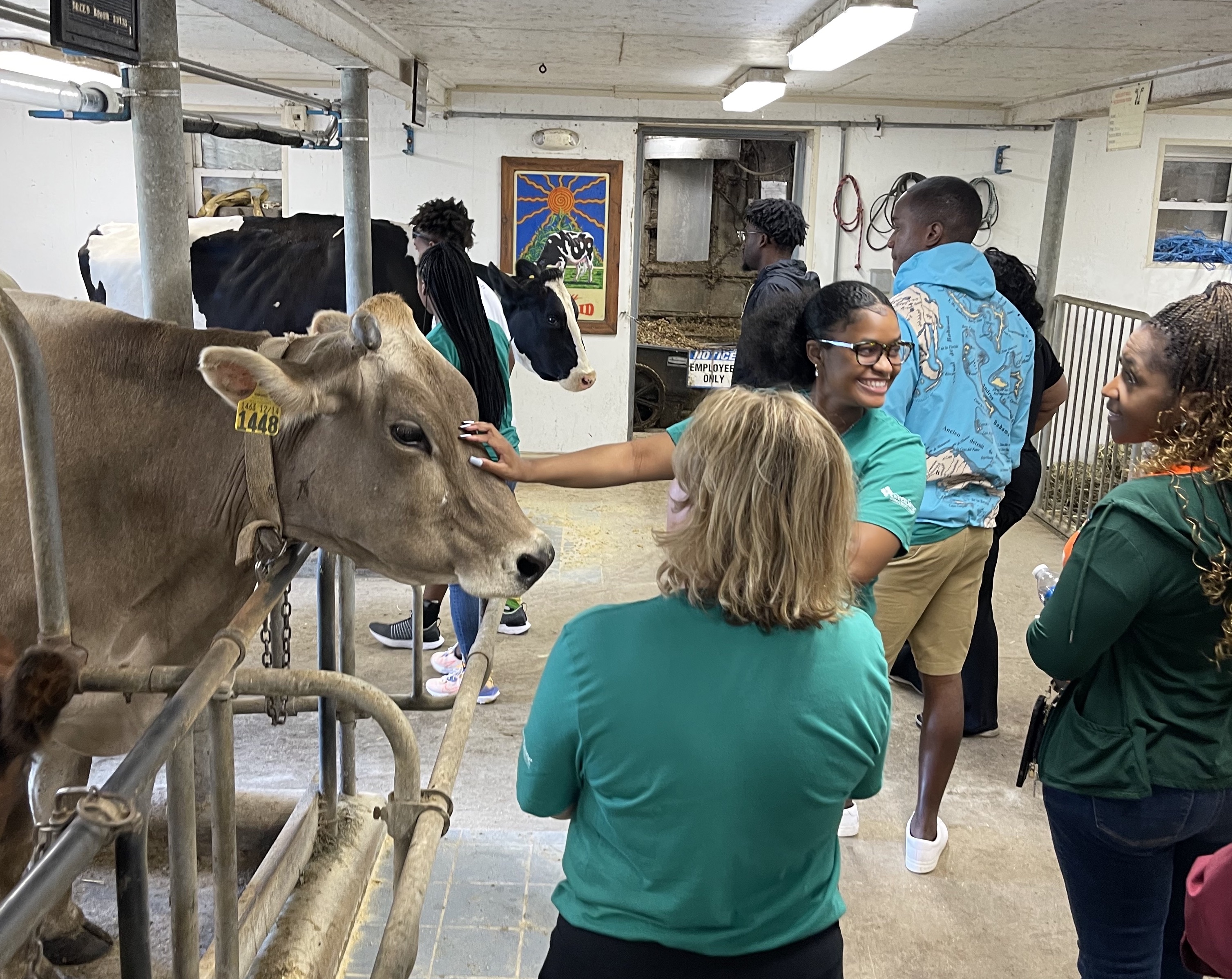 GreenStone Summer AG Tour, Mill
