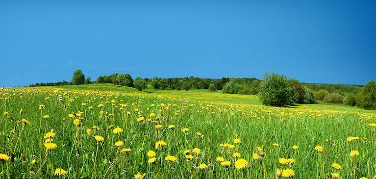 GreenStone, Country Living, The Mostrom Family