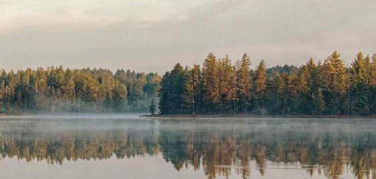 Fall woods and water scene