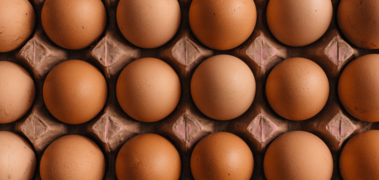 Eggs in Carton